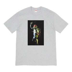 Supreme Raphael Tee- Heather Grey